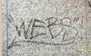 "WEBS"!