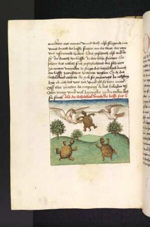 Die beiden Vögel und die Schildkröte;(Kapitel II: Von dem Löwen und dem Ochsen)