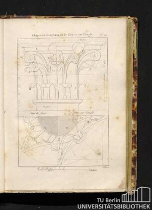 Pl. 14. Chapiteau Corinthien vu de face et sur l'angle.