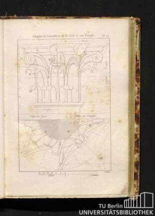 Pl. 14. Chapiteau Corinthien vu de face et sur l'angle.