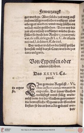 XXXVI. Capittel: Von Expensen oder erlitten schäden