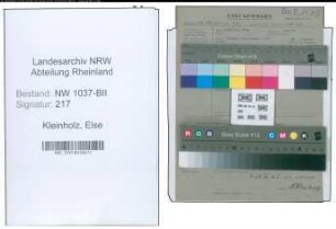 Entnazifizierung Else Kleinholz , geb. 05.05.1904 (Angestellte)