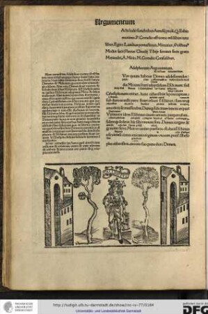Acta ludis funebribus Aemilii Pauli, Q. Fabio maximo, P. Cornelio Affricano aedilibus curulibus egere...