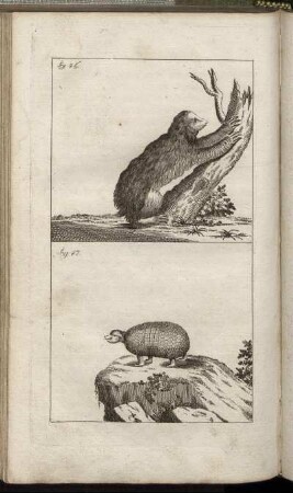 Fig. 46. - Fig. 47.