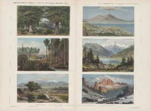 e. Hochgebirge: Zell am See