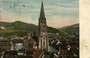 Das Freiburger Münster