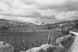 Bei Bogotá (Lateinamerika-Aufenthalte 1934/1942 - 2. Kolumbien 1934-1937)