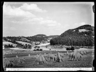 Nedamer Tal zwischen Dauba und Hirschberg