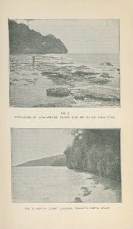Reef-edge at low-water, south side of Flying Fish Cove. North coast looking towards Smith Point