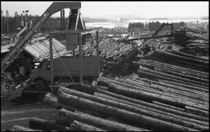 Rötenbach: großes Holzverarbeitungswerk Krebs, Holzlager