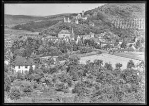 Blick über Bäume Richtung Stiftskirche und Burg