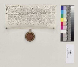 Hans Schmetterer, Pfleger zu Hainsbach, verkauft sein Gut am Ort in Hainsbach, das das Pruckner Guet genannt wird, an seinen Sohn Christian Schmetterer, Pfleger zu Niedertraubling (Traubling). S: Hieronymus [II. Feury], Abt von St. Emmeram