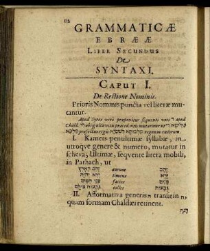 Liber Secundus De Syntaxi.