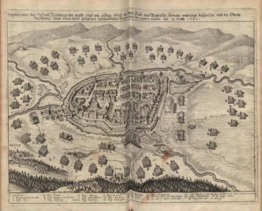 Delineatio der Statt Newburg am Waldt