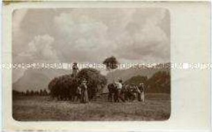 Heuaufladen auf einen Pferdewagen