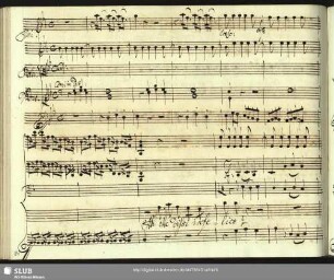 Recitativo con Stromenti: Ah che dissi infelice