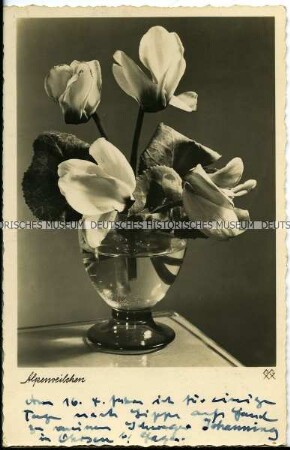 Postkarte mit Blumenmotiv