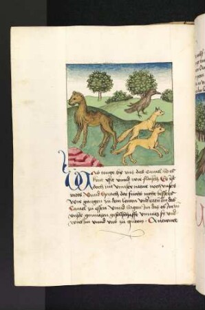 Die drei Gefährten des Löwen und das Kamel; (Kapitel II: Von dem Löwen und dem Ochsen)