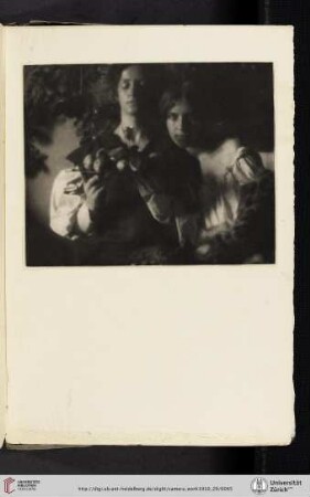 [George Henry Seeley, X. No. 356, photogravure from the original negative]