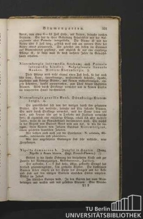 Nierembergia gracilis Hook. Dünnstielige Nierembergie.