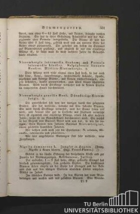 Nierembergia gracilis Hook. Dünnstielige Nierembergie.