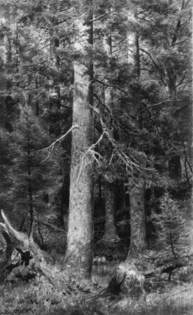 Deutscher Wald : Leonhardi, Eduard (1828-1905). Deutscher Wald. Aquarell und Deckfarben, 46,2 x 28,5 cm. Dresden: Stadtmuseum 1980/k 5577
