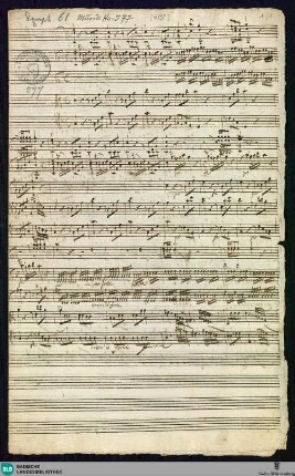 Symphonies - Mus. Hs. 577 : strings, brasses, timp; C; BrinzingMWV 7.129