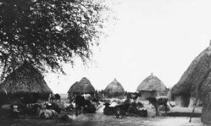 Schillukdorf in Kor Atar [Reise nach dem Sudan, Band 3]