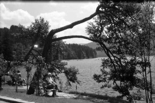 Titisee: Kurpromenade am See