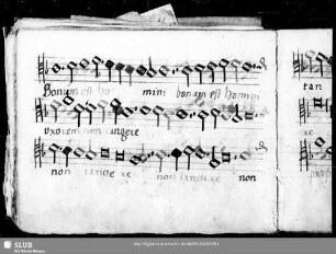 Wolfgang Figulus: Bonum est homini uxorem non tangere