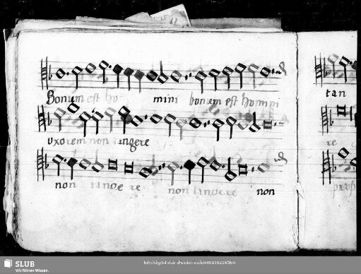 Wolfgang Figulus: Bonum est homini uxorem non tangere