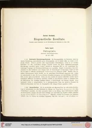 Zweiter Abschnitt: Biogenetische Resultate
