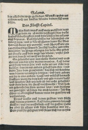 Das Fünfft Capitel.