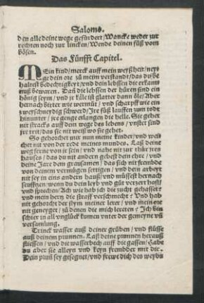 Das Fünfft Capitel.