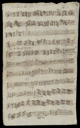 Viol. 1
