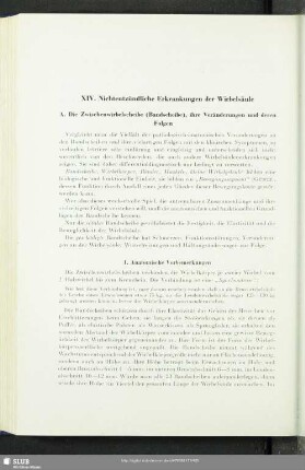 XIV. Nichtentzündliche Erkrankungen der Wirbelsäule