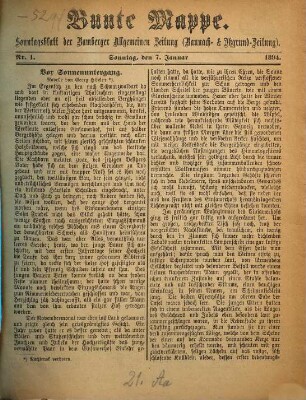 Bunte Mappe : Sonntagsblatt der Bamberger Allgemeinen Zeitung (Baunach- und Itzgrund-Zeitung). 1894