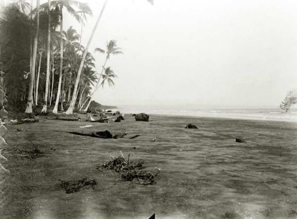 "Coast near Murik"