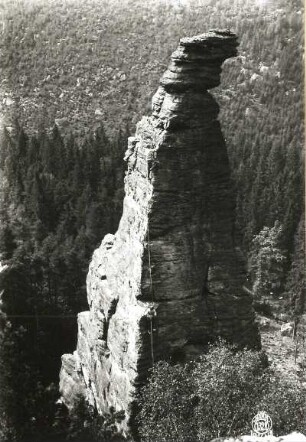 Sächsische Schweiz, Bielatal. Spannagelturm. Seilschaft Ehrhardt Renger im oberen Teil der Bruchholzkante (Nordostkante, VIIb)