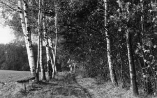 Klipphausen-Lampersdorf. Am Wanderweg zwischen Lampersdorf und Taubenheim