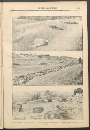 Actualidades [de la guerra civil chilena]. : [1.] Despojos humanos. - [2.] - Cadáveres listos para la cremación. [3.] - El campo de batalla después de la acción .de Placilla