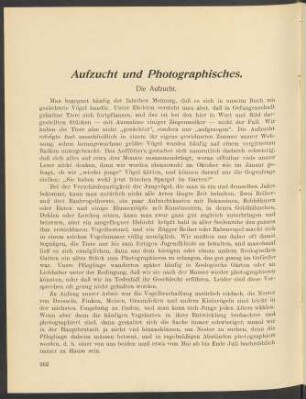 Aufzucht und Photographisches