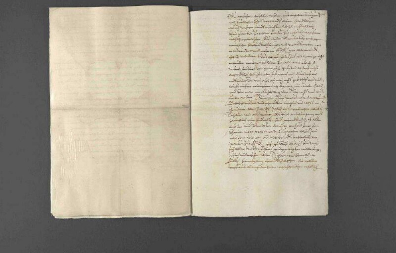 Pfalzgraf Philipp Ludwig übermittelt die Erklärung des Herzogs [Karl III.] von Lothringen bezüglich der im deutschen Reich ausgesprochenen "Oratio" seines Gesandten an Papst Sixtus V., welche Kaiser Rudolf II. und die deutschen Reichsfürsten als Beleidigung aufgefasst hatten, aber welche nur erfunden sein soll, weshalb der Herzog auch nur die nötigsten militärischen Verteidigungsmaßnahmen ergriffen hätte.