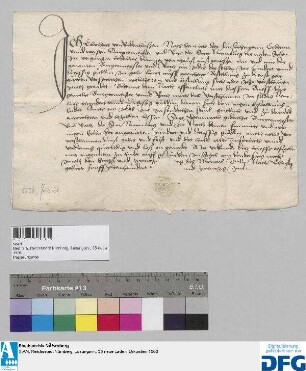 Eberhart von Radenhusen quittiert der Stadt Nürnberg über 100 fl. Sold.