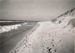 Kurische Nehrung. Ostseestrand zwischen Rossitten (heute Rybatschij / Russland) und Nidden (heute Nida / Litauen). Blick längs des Strandes nach Nordosten. Rechts Wanderdüne