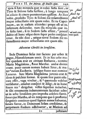 Adventus Christi in Ierusalem.