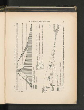 Abb. 2. Idealer Durchschnitt durch Nauru.