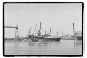 Greif (1909), NK Gribel