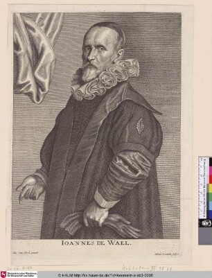 Ioannes de Wael