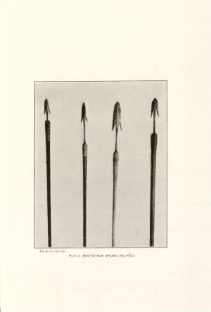 Plate C. Bontoc war spears (Fal-feg')